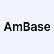Ambase Corp. logo