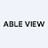 Able View Global Inc. logo