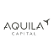 Aquila Energy Efficiency Trust PLC logo