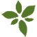 Advanced Flower Capital Inc. logo