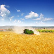 Agrogeneration logo