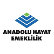 Anadolu Hayat Emeklilik A.S. logo