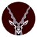 ANTELOPUS logo