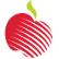 Harvest Apple Enhanced Income ETF logo