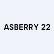 Asberry 22 Holdings Inc. logo