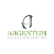Andean Silver Ltd logo