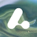 Algene Holding SE logo