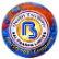 Bal Pharma Ltd. logo