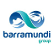 Barramundi Group Ltd. logo