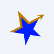 Blue Star Gold Corp. logo