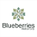 Blueberries Medical Corp. logo