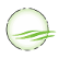 Virtus LifeSci Biotech Products ETF logo