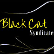 Black Cat Syndicate Limited logo