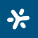 BrainChip Holdings Limited - Sponsored ADR logo