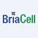 BriaCell Therapeutics Warrant - Expiring 2030 logo