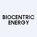 Biocentric Energy Holdings Inc. logo