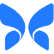 Butterfly Network Inc. logo