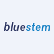 Bluestem Group Inc. logo