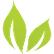 Bright Green Corporation logo