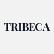 Tribeca Strategic Acquisition Corp. logo