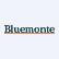 Bluemonte Short Term Bond ETF logo