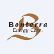 Bonterra Energy Corp. logo