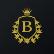 Bangi Inc. logo