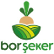 Bor Seker A.S. logo