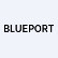 Blueport Acquisition Ltd logo