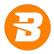 Babylon Pump & Power Ltd logo