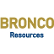 Bronco Resources Corp. logo