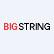 BigString Corporation logo