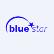 Blue Star Opportunities Corp. logo