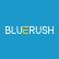 Bluerush Inc. logo