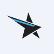 Blue Star Global Inc. logo