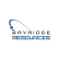 Bayridge Resources Corp. logo
