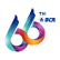 Bank Central Asia Tbk logo