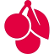Cherry SE logo
