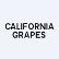 California Grapes International Inc. logo