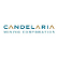 Candela Invest Inc. logo