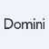 Domini Sustainable Solutions Fund Investor Shares logo