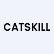 Catskill Litigation Trust logo