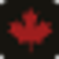 Champion Bear Resources Ltd. logo