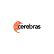 Cerebras Systems Inc. logo