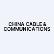 China Cable & Communication, Inc. logo