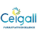 Ceigall India Ltd. logo