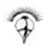 Cella Space Ltd. logo