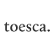 Fondo Mutuo Toesca Chile Equities logo