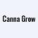 CIBC Balanced Growth ETF Portfolio logo