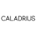 Celebrus Technologies Plc logo